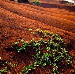 解谜游戏《征服者》Steam页面上线 10月20日发售